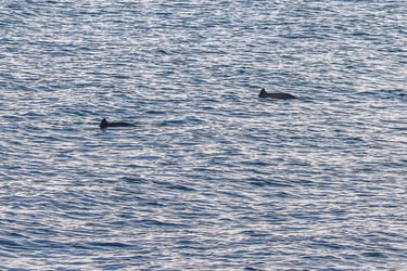 1FA69545-2601-456E-A0BE-BC1ECDAC6AB9