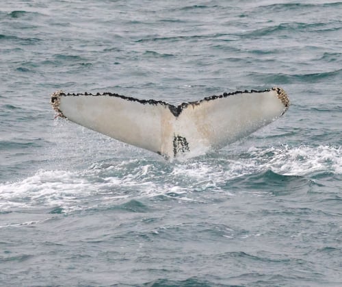 4D521C28-323A-4521-99C5-5A2F52224DED