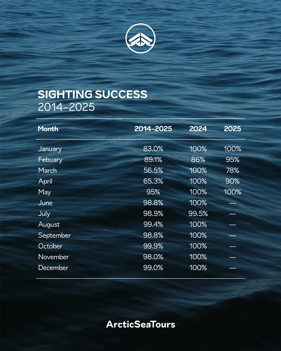 Sighting success of Arctic sea Tours north Iceland from 2014-2025