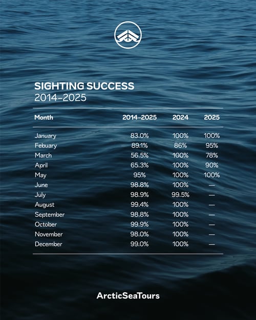 Sighting success of Arctic sea Tours north Iceland from 2014-2025