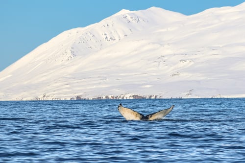 B2233E96-AC98-41C3-8652-01A50BF7BC8E