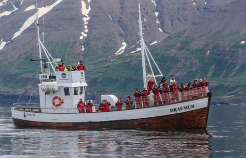 Draumur-whale-watching-boat-Dalvik-Iceland-1-1