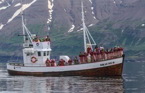 Draumur-whale-watching-boat-Dalvik-Iceland-1