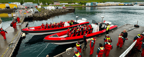 Express Whale Watching - top