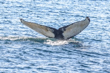 FAA55768-6175-4CA6-88EC-C7E16443721F