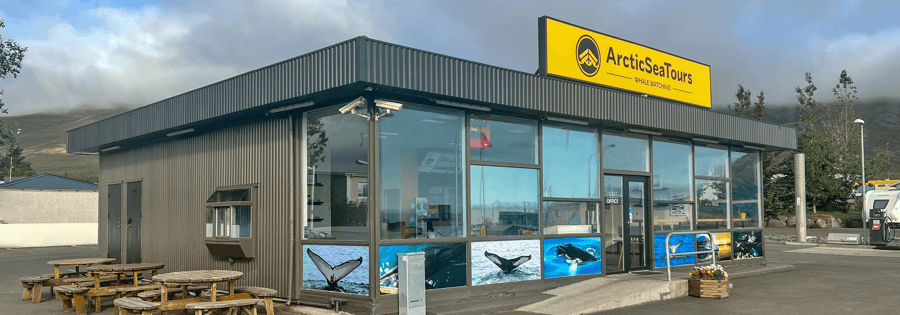Whale watching Ticket office -2 2