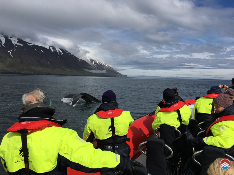 About Us | Arctic Sea Tours